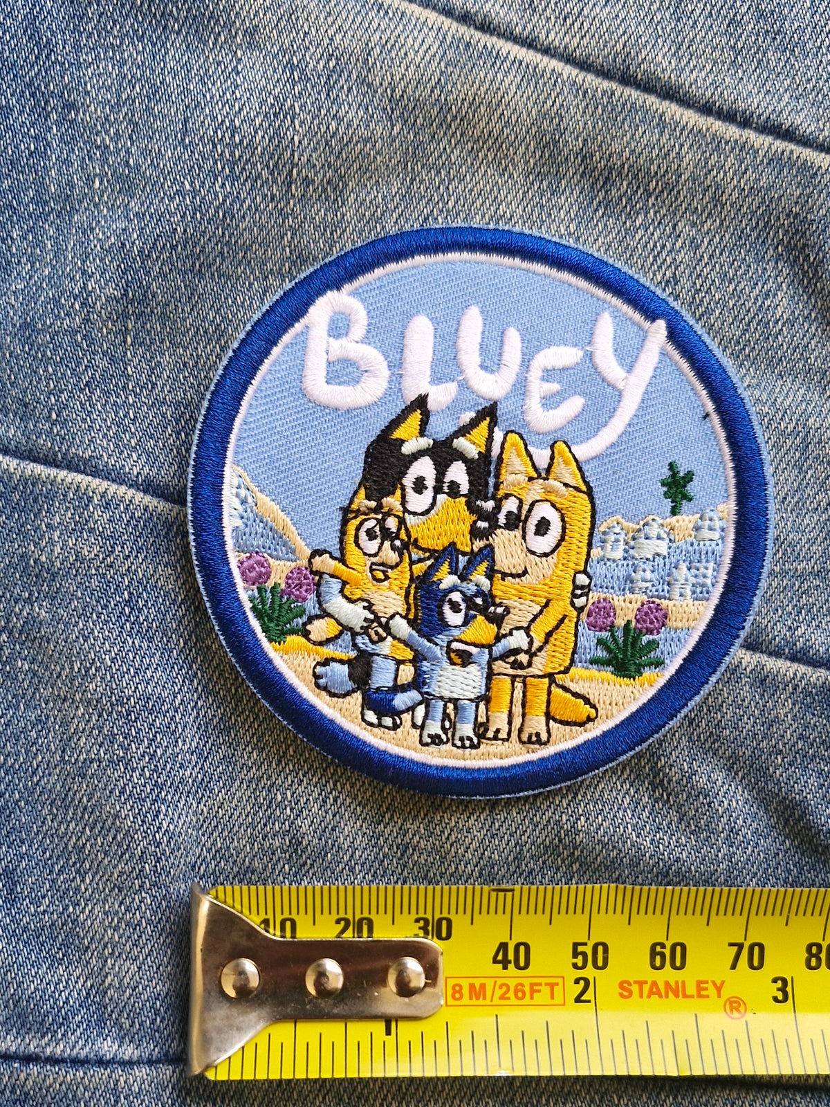 Bluey & Dingo, Kids Cartoon, Australia Iron On Patch Embroidery Craft Kids